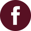 icone facebook