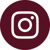 icone instagram