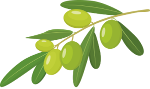 olive
