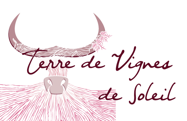 logo terre de vignes et de soleil