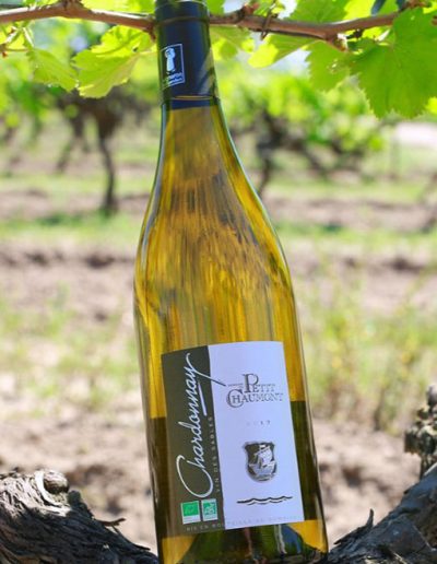Chardonnay